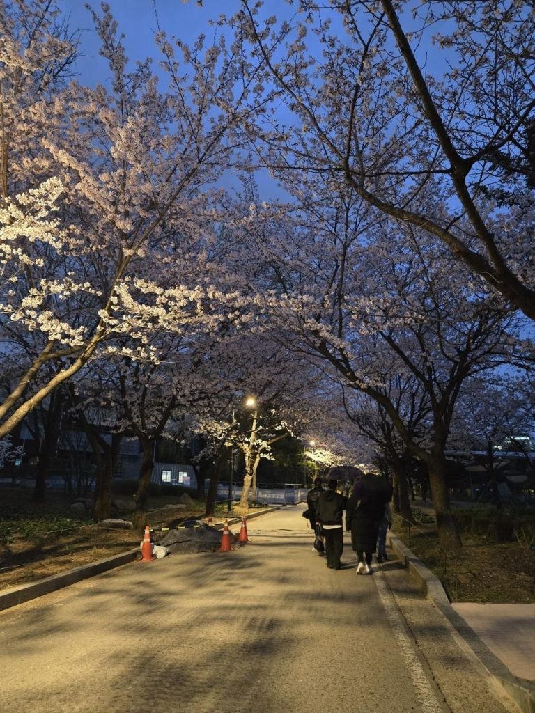 도란도란 즐거웠습니다